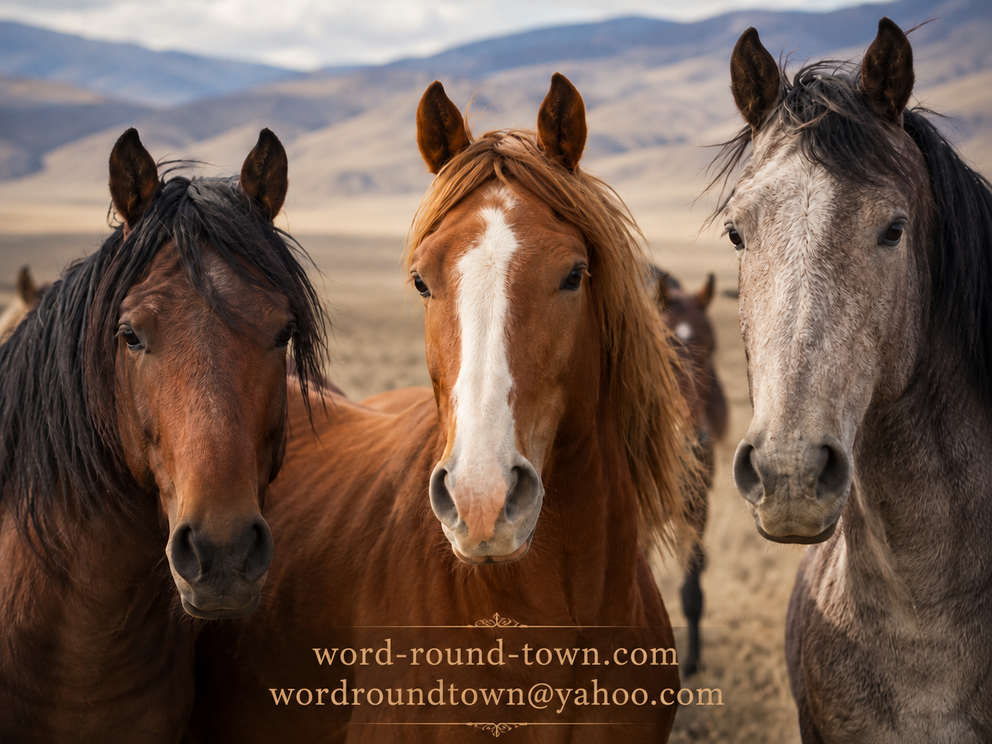 Saddle Up, Buckaroo ~ ’Cause the Wild Horses and Burros Are Coming to Waterloo!
