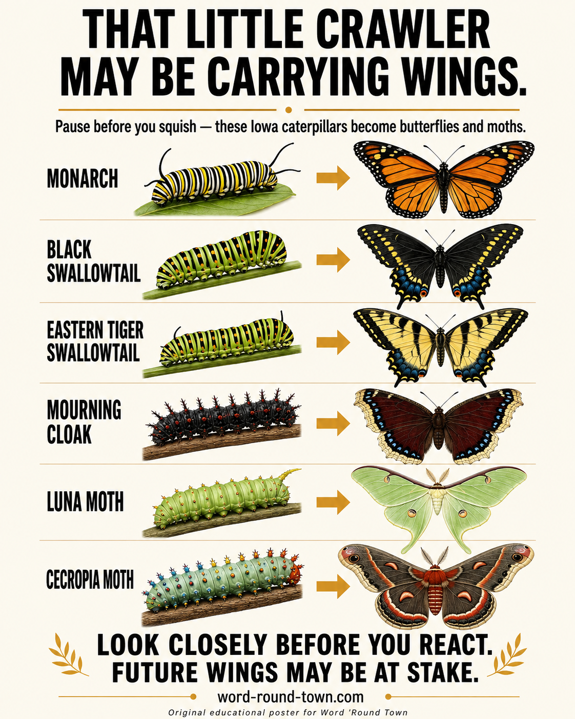 That Little Crawler May Be Carrying Wings