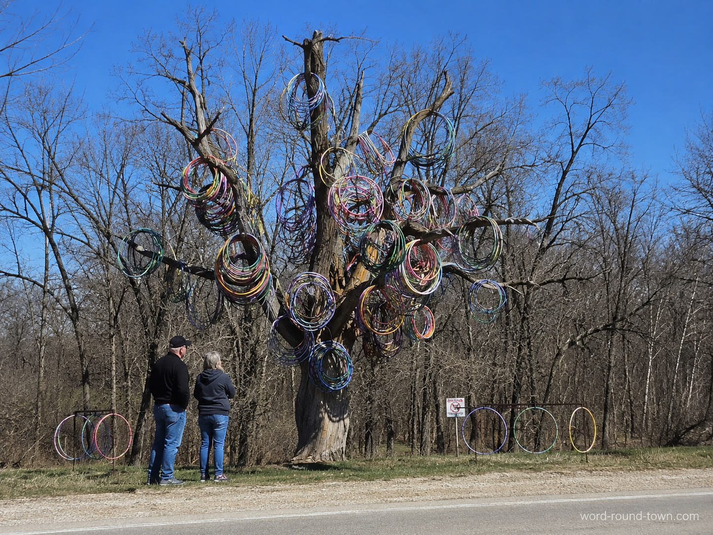 The Tree That Learned To Hula